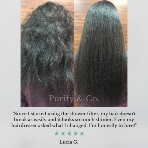 Purify eCo Shower Refill