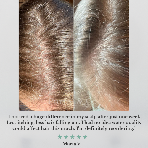 Purify eCo Shower Refill